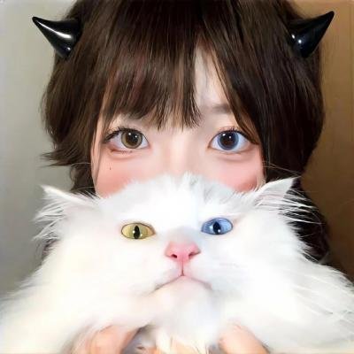 孤国春秋第一季