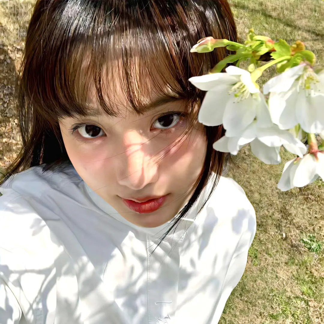 摇滚藏獒：蓝色光芒